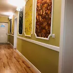 Timona 艾福雷诺德