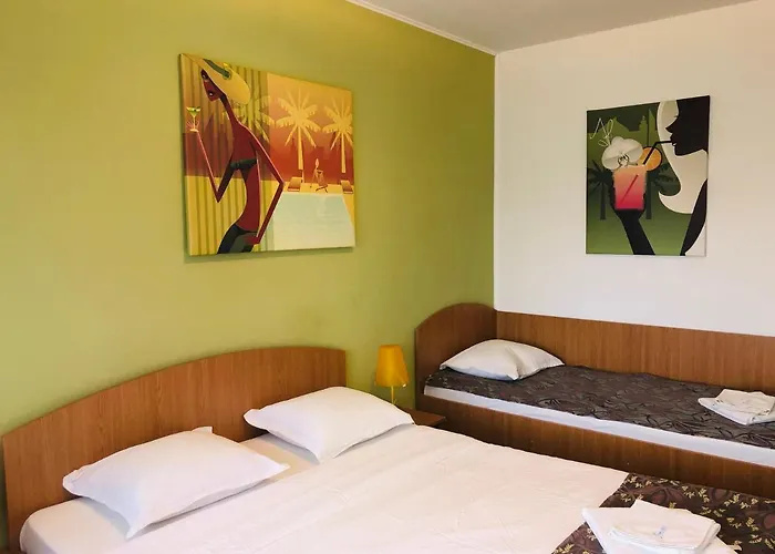 Guest house Timona 4*