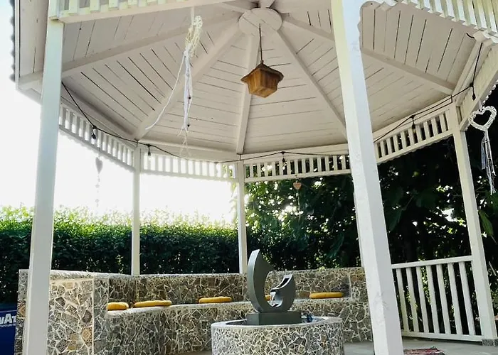 Guest house Timona 4*